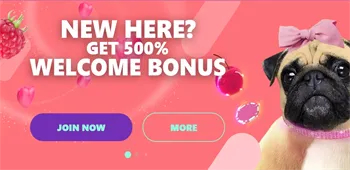 SpinPug Casino Review